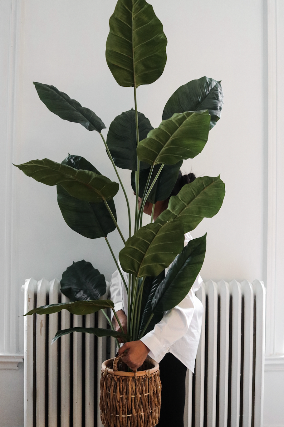 Lola - Maison Oxa