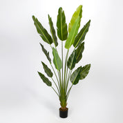 Plante artificielle Strelitzia Estelle 200 cm en pot – Maison OXA
