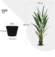 Détail des feuilles de la plante artificielle June – Strelitzia