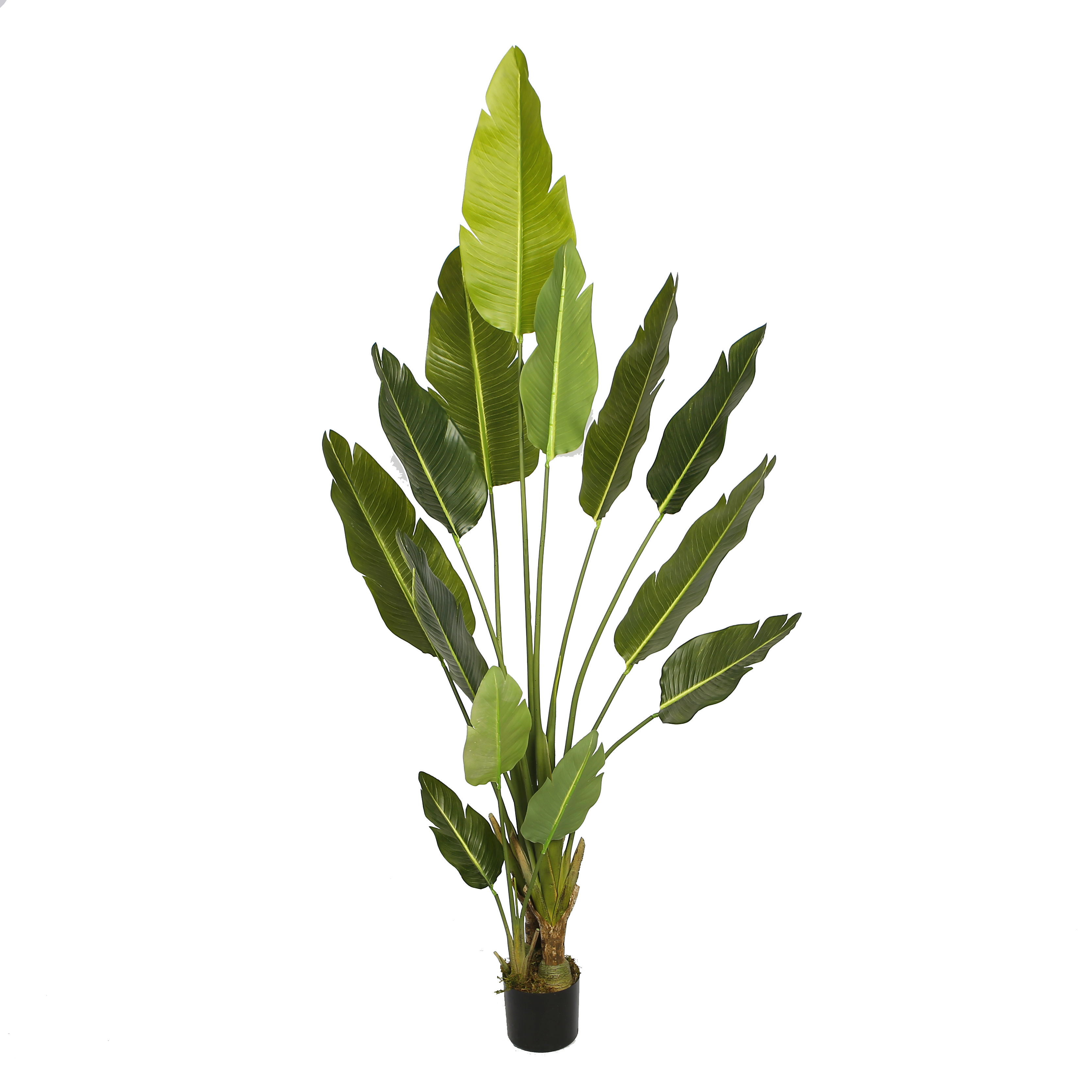 Strelitzia artificiel 200 cm en pot — modèle Gaby par Maison OXA