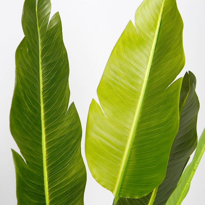 Grande plante artificielle tropicale Estelle – Décoration intérieure