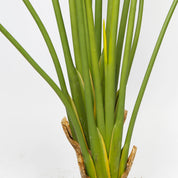 Plante artificielle haut de gamme 200 cm – Estelle Maison OXA