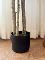 grand yucca artificiel