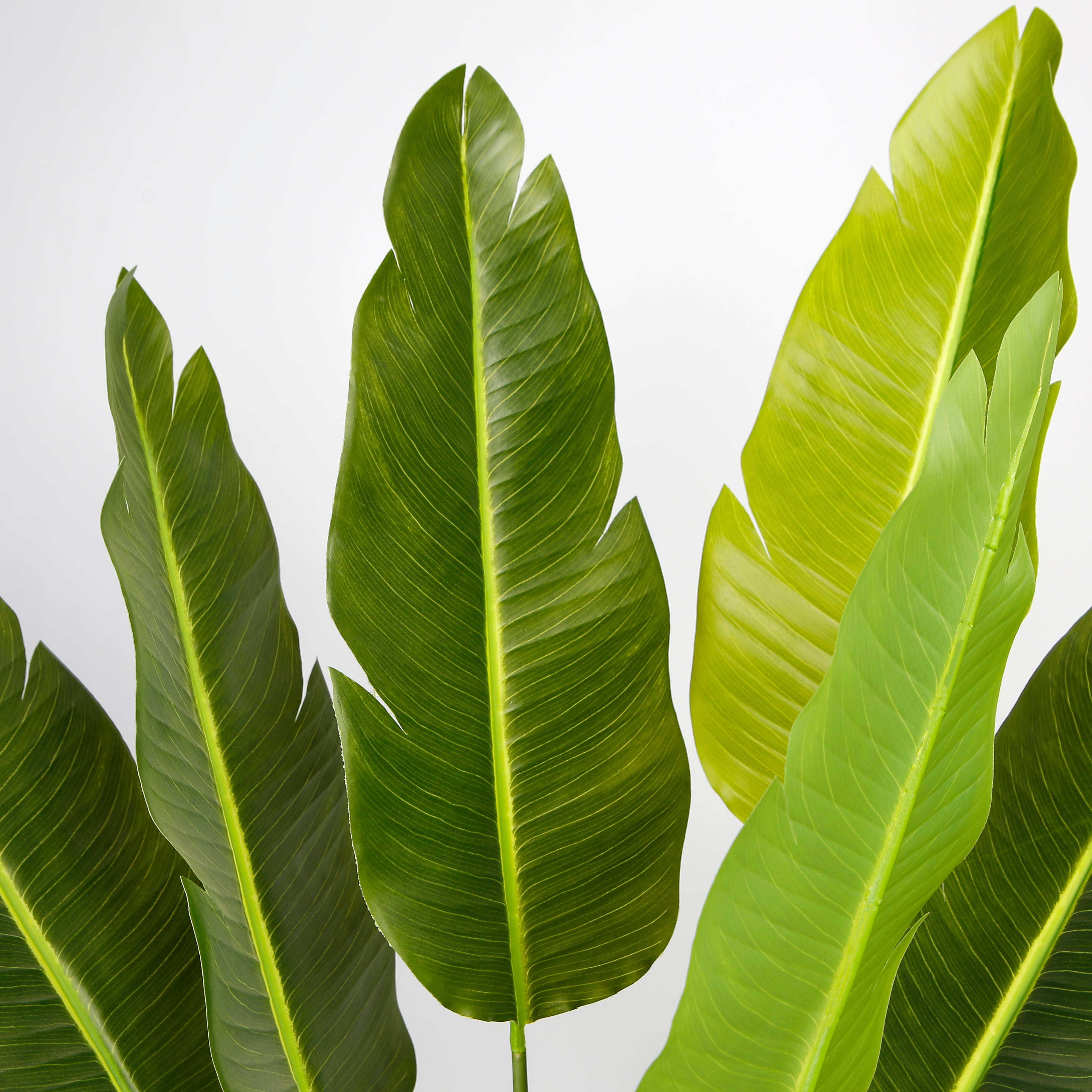 plante artificielle réaliste