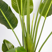 Plante tropicale artificielle en pot — Gaby 200 cm