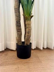 Plante décorative agave en pot 155 cm – Maison OXA
