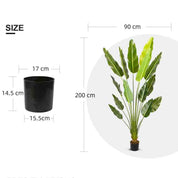 Oiseau du paradis artificiel réaliste – Modèle Estelle