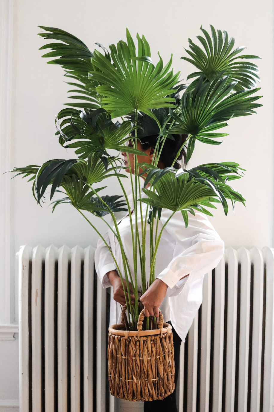 Fanny - Maison Oxa