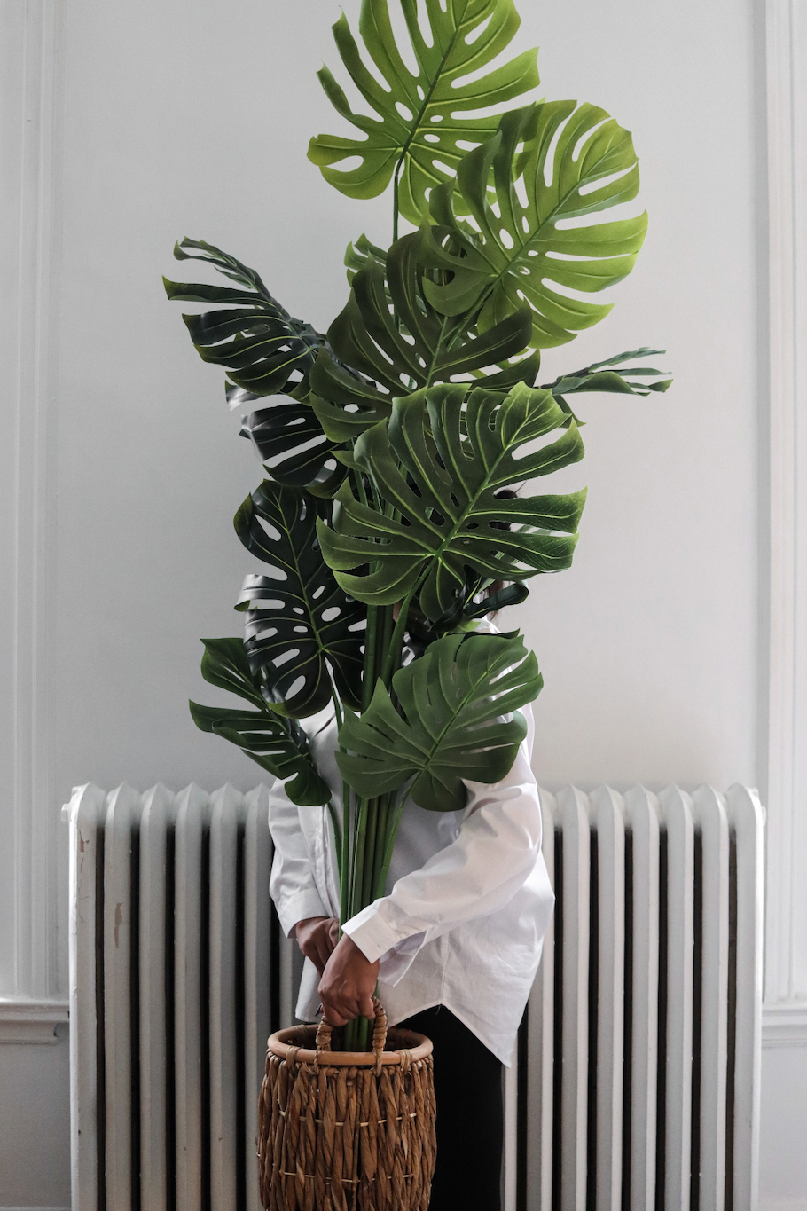 Andrea - Maison Oxa