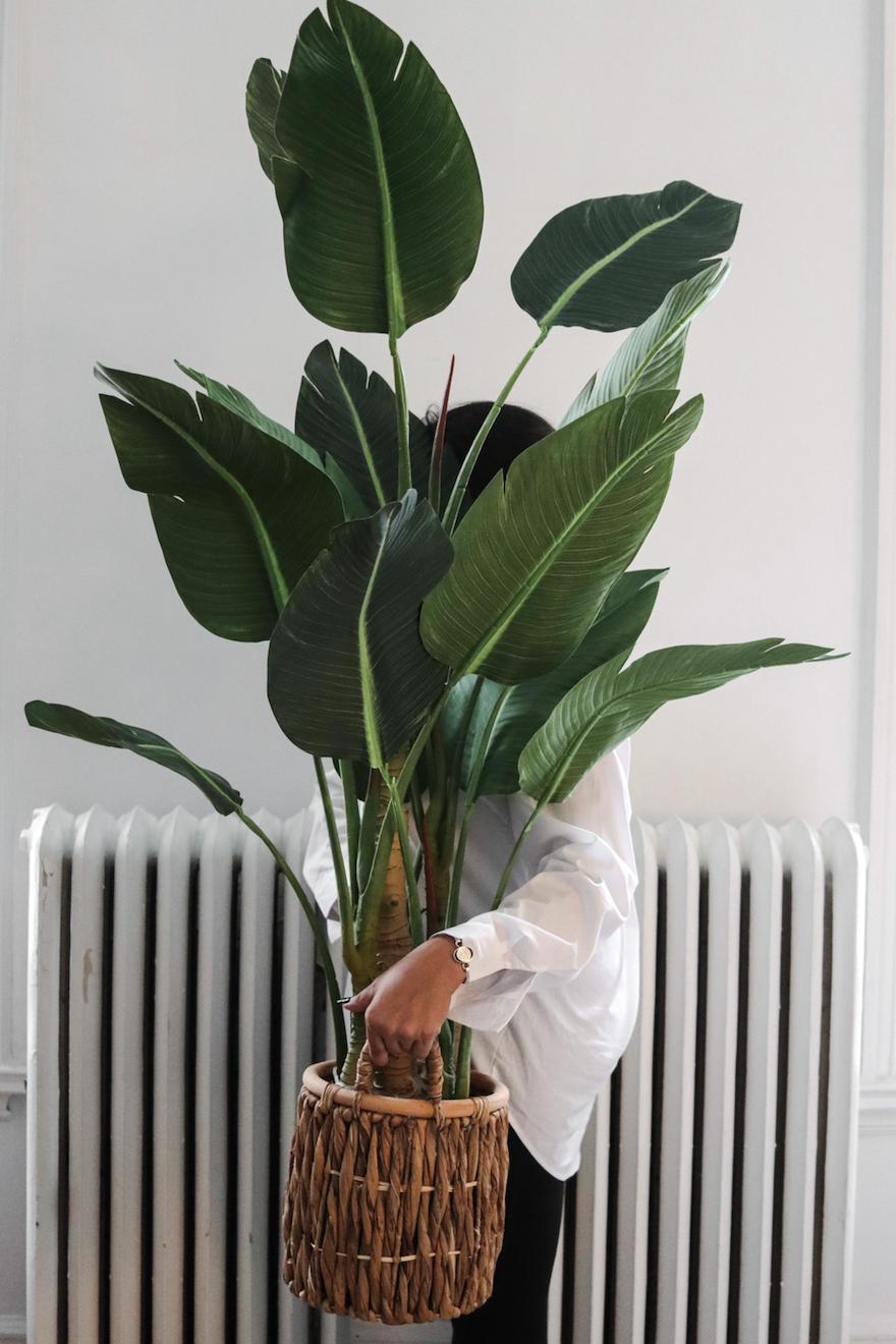 Eva - Maison Oxa