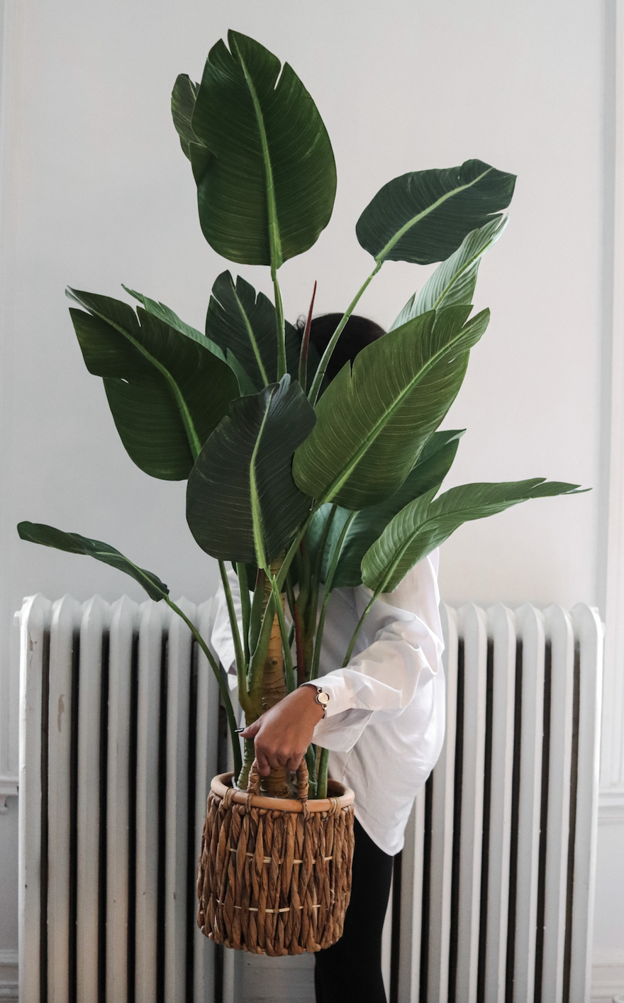 Eva - Maison Oxa