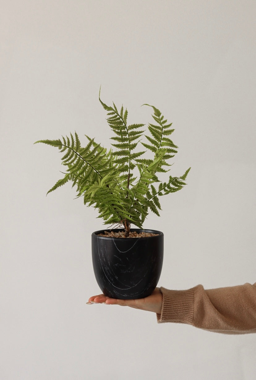artificial fern plant in pot Celeste - Artificial potted plant - Decorative fern