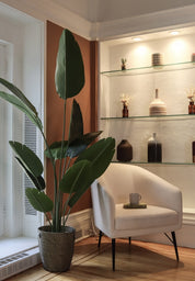 Rilo- Palmier décoratif