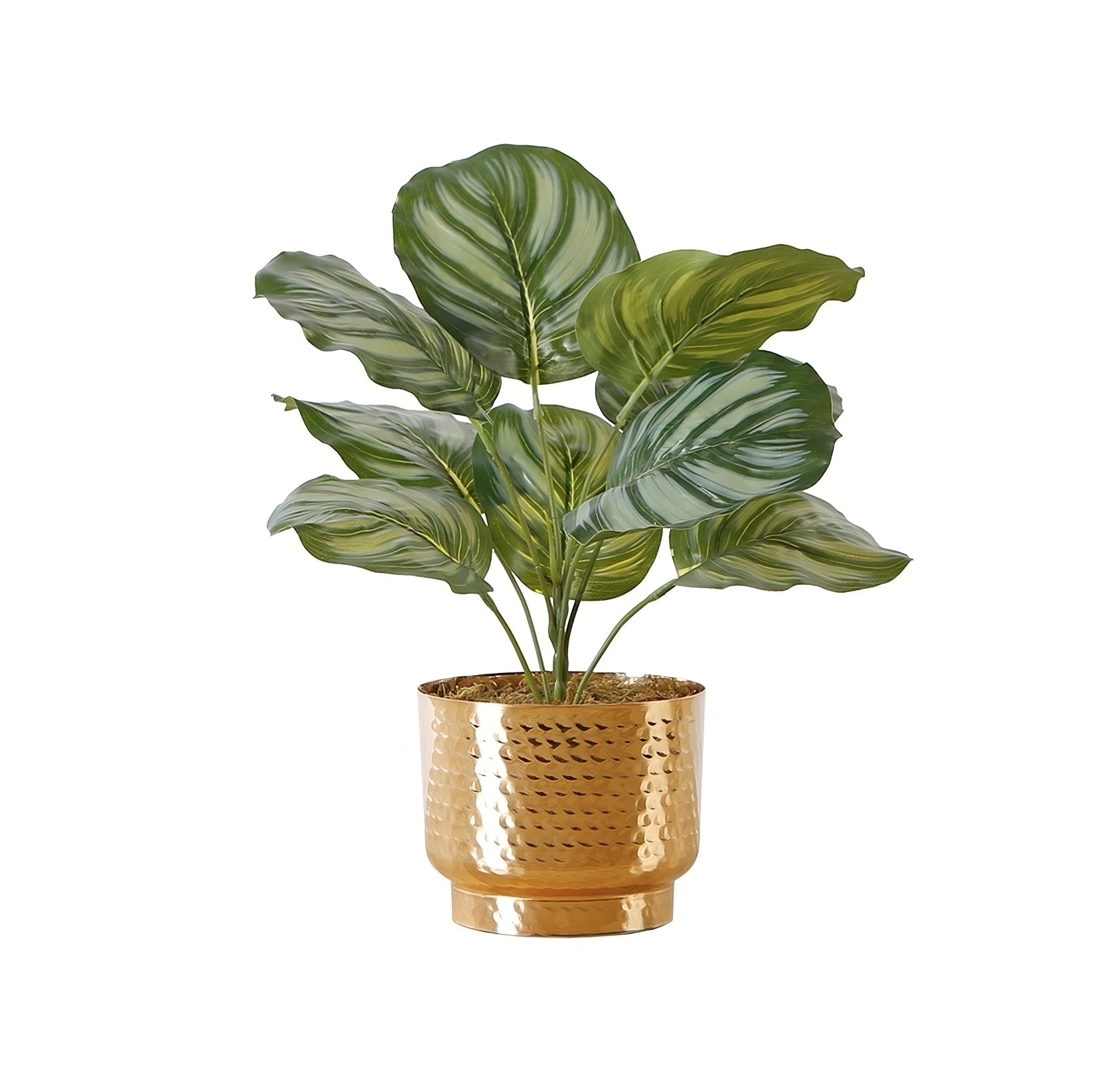 Bianca - Plante Calathea artificielle en pot