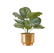 Bianca - Plante Calathea artificielle en pot