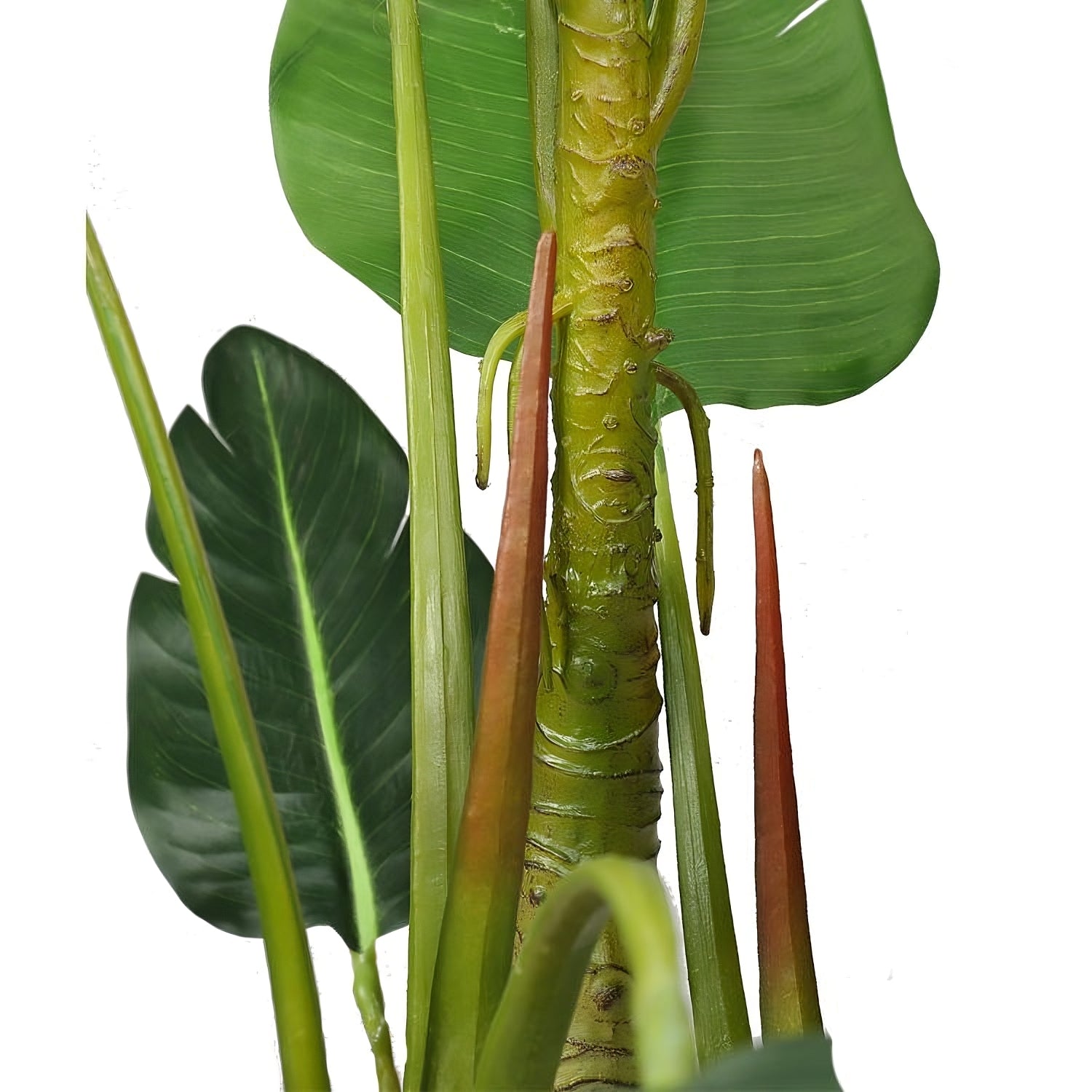 Eva - Oiseau du paradis Strelitzia artificiel en pot