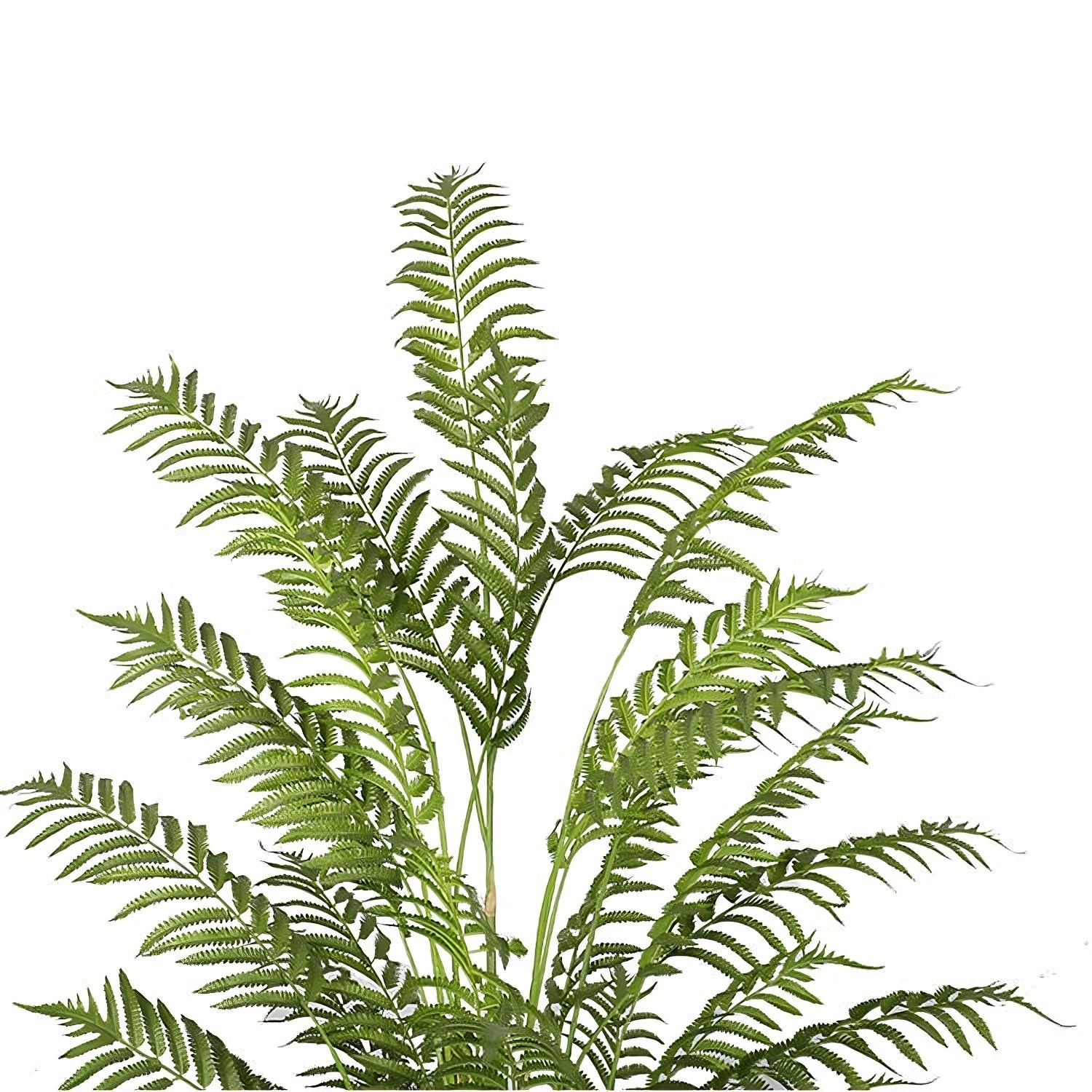 Mena - Fougère artificielle en pot