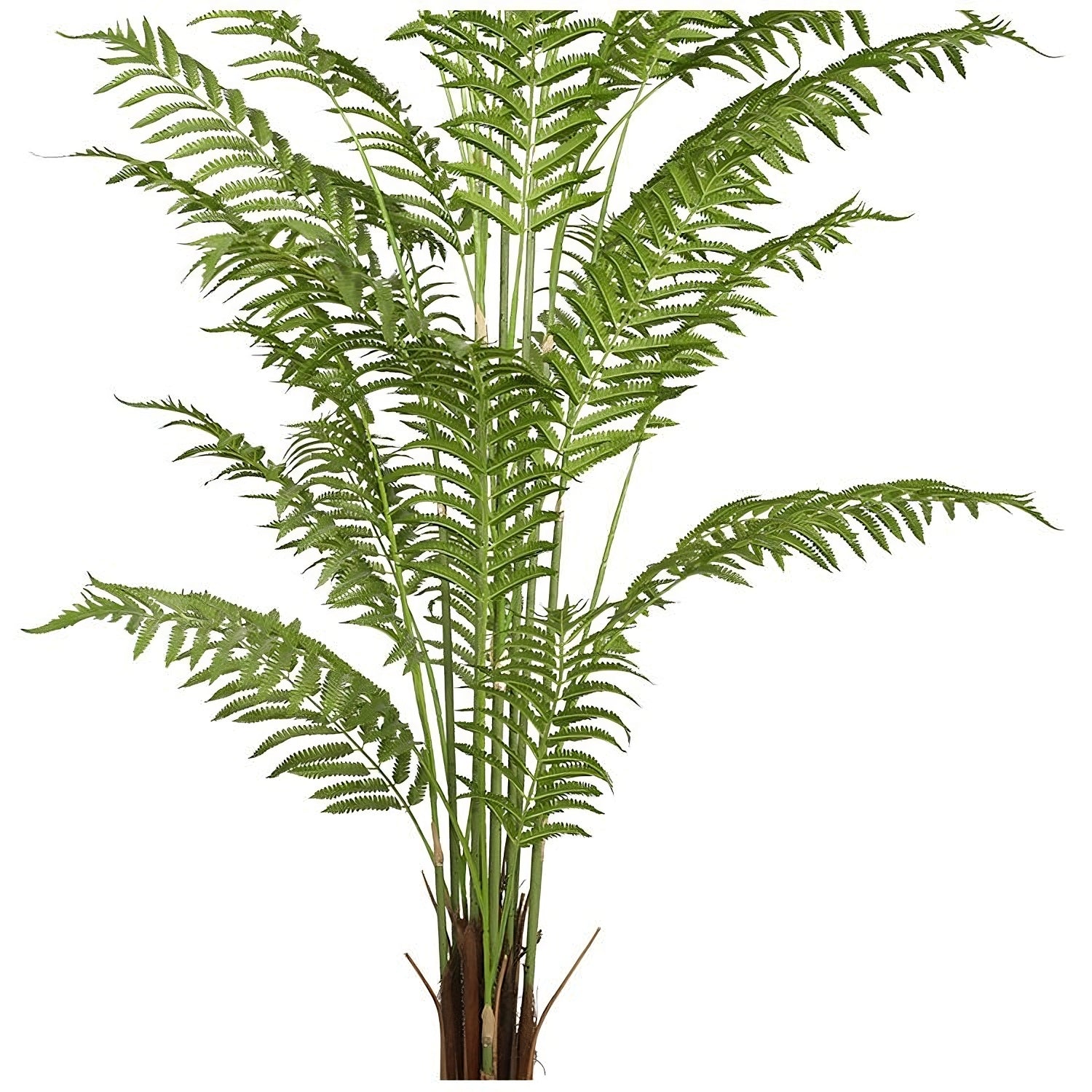 Mena - Fougère artificielle en pot