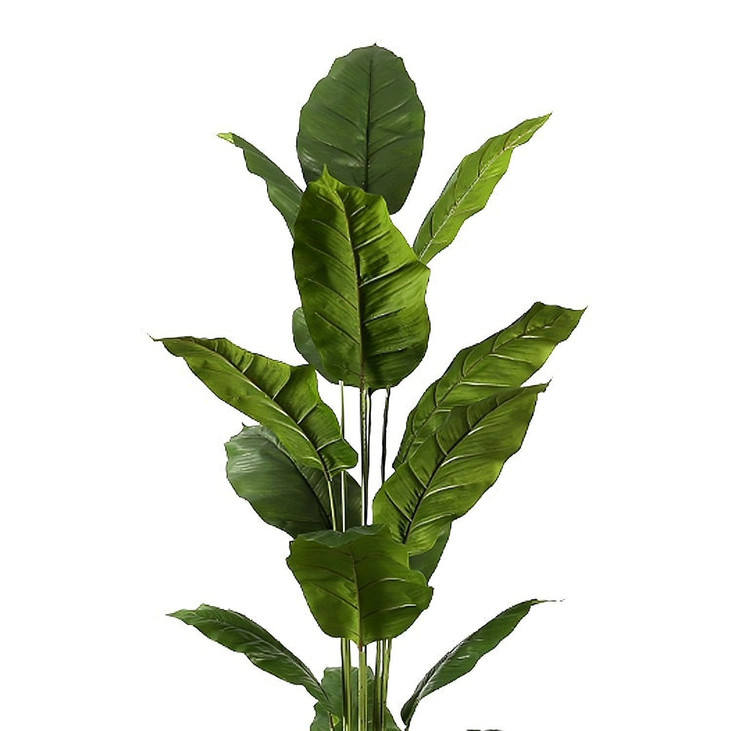 Lola - Lis de la paix artificielle en pot